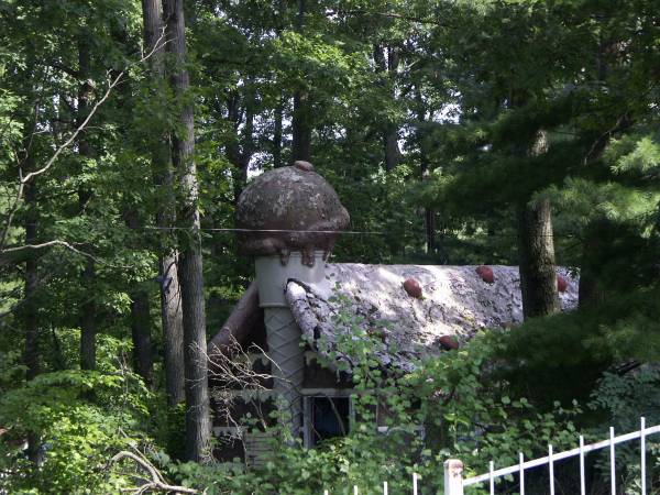Enchanted Forest Baltimore