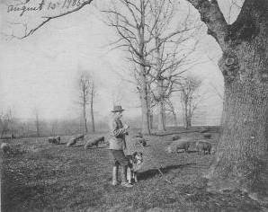 Druid Hill
              Park 1906 Baltimore