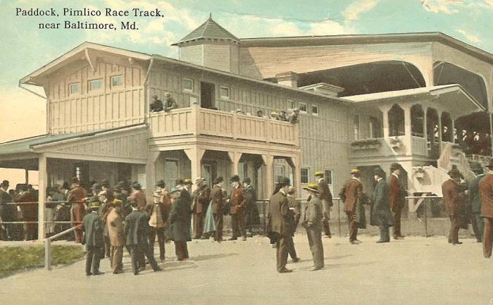Pimlico
              Paddock