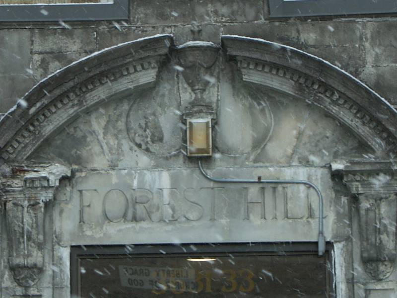 Forest Hills
                  Apartments