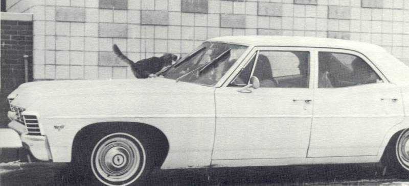 Dulaney High School Baltimore